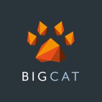 Big Cat