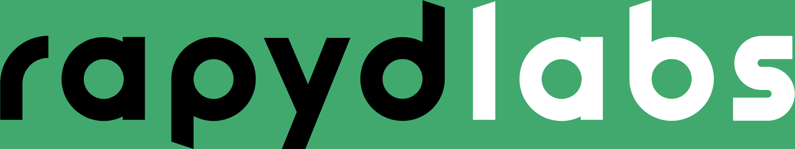 RapydLabs LLC