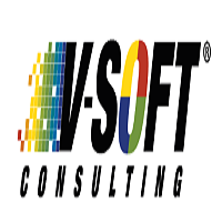 V Soft Consulting Group, Inc.