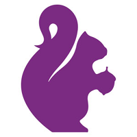 Curate Partners