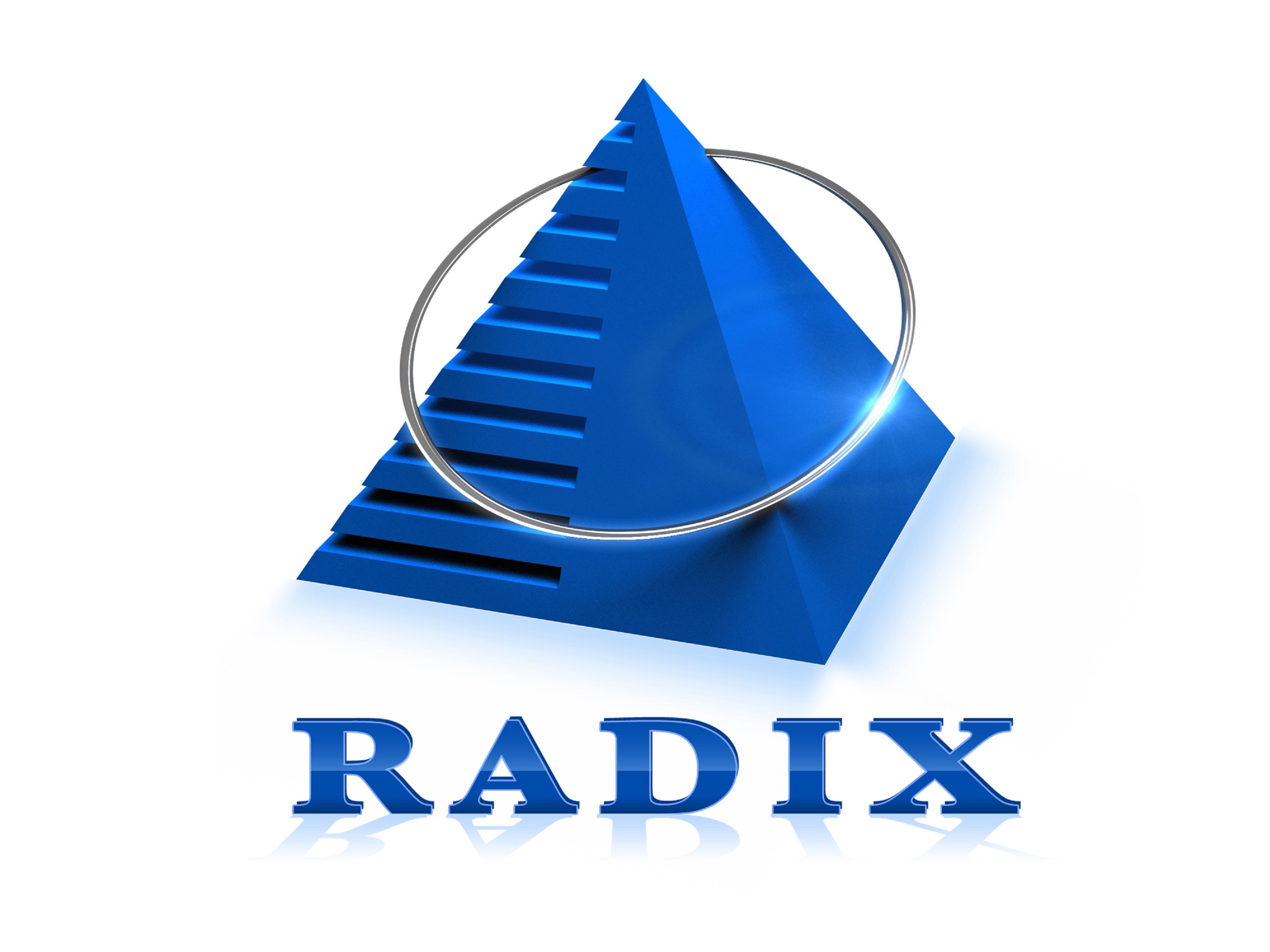 RadixWeb