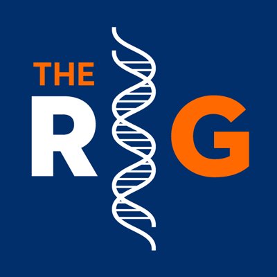 The Reis Group