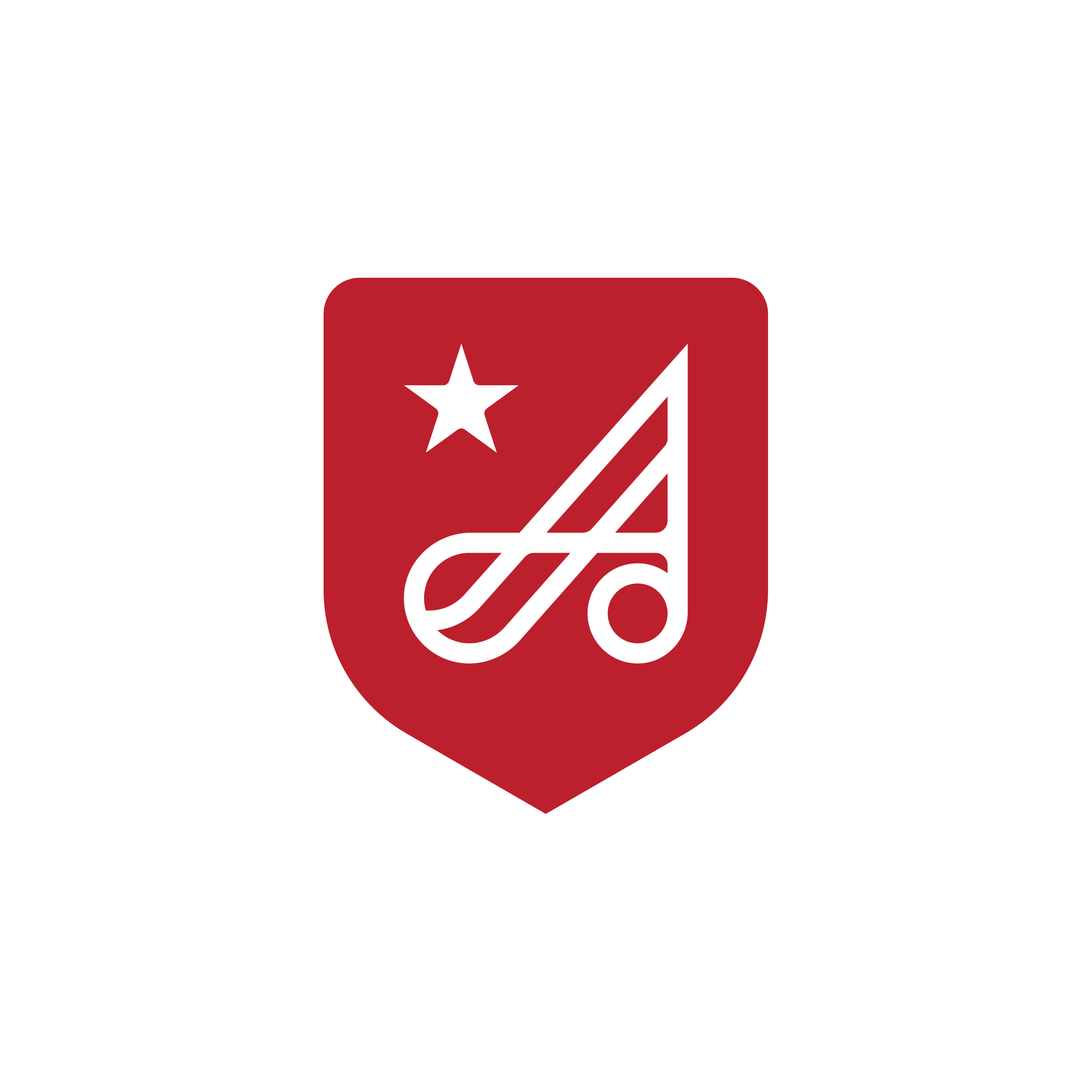 Anthem Software