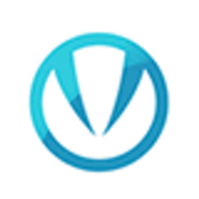 Viper IT Solutions