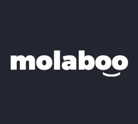 Molaboo Development