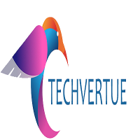 Techvertue Technology Pvt Ltd
