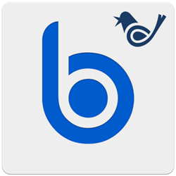 Big Button