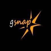 Gingersnap Design