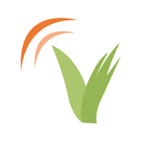 Virtual Design