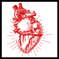 Digital Heart