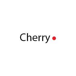 Red Cherry, Inc.7373