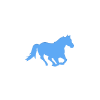 Ghost Horses Website Design