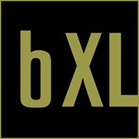 brandxlerator.com