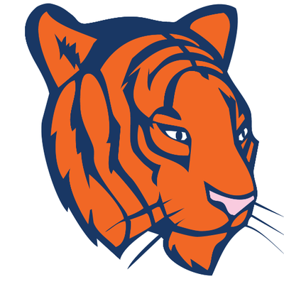 Digital Tigers GmbH - Online MarketingConsultingeCommerce