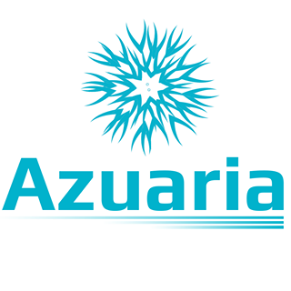 Azuaria SEO Optimizacion