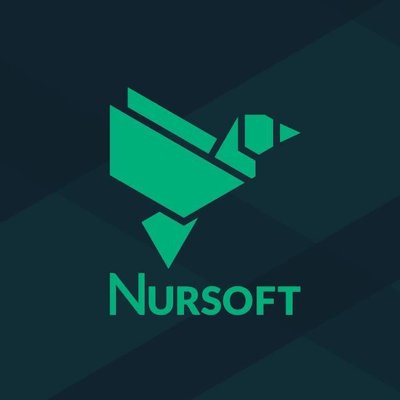 Nursoft