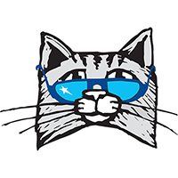 Kool Kat Web Designs, LLC
