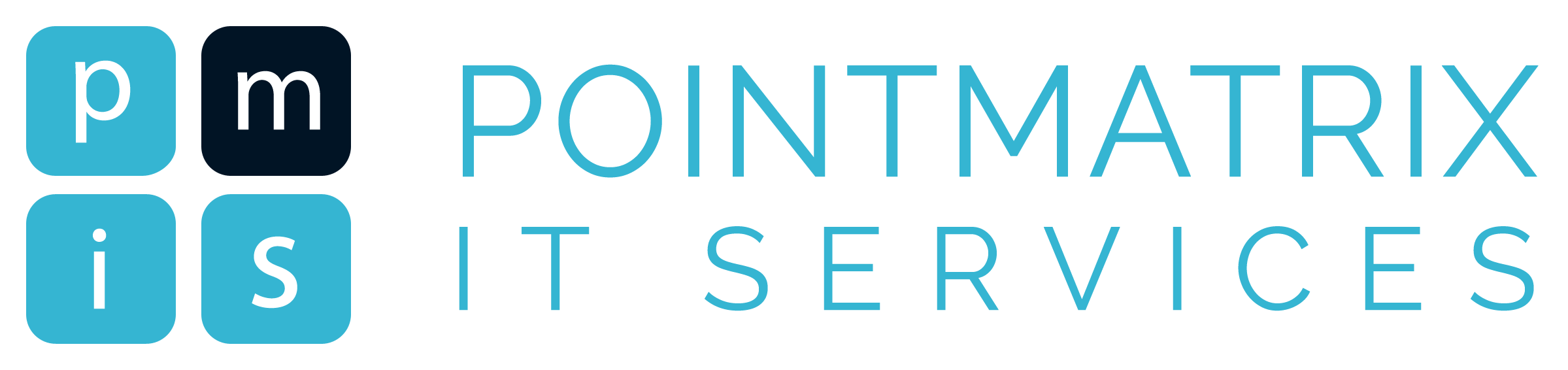 PointMatrix IT Services