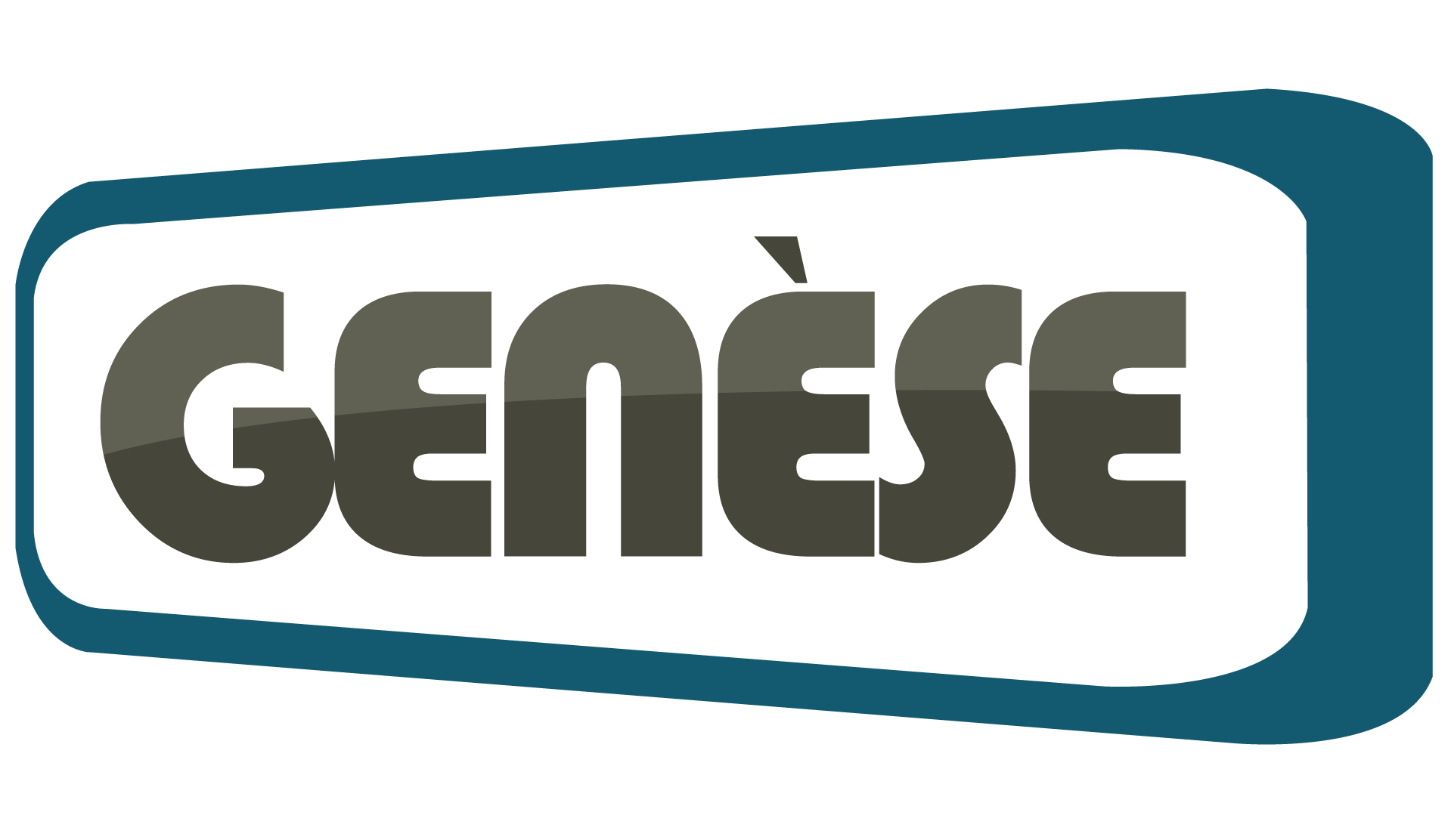 Genese Solution