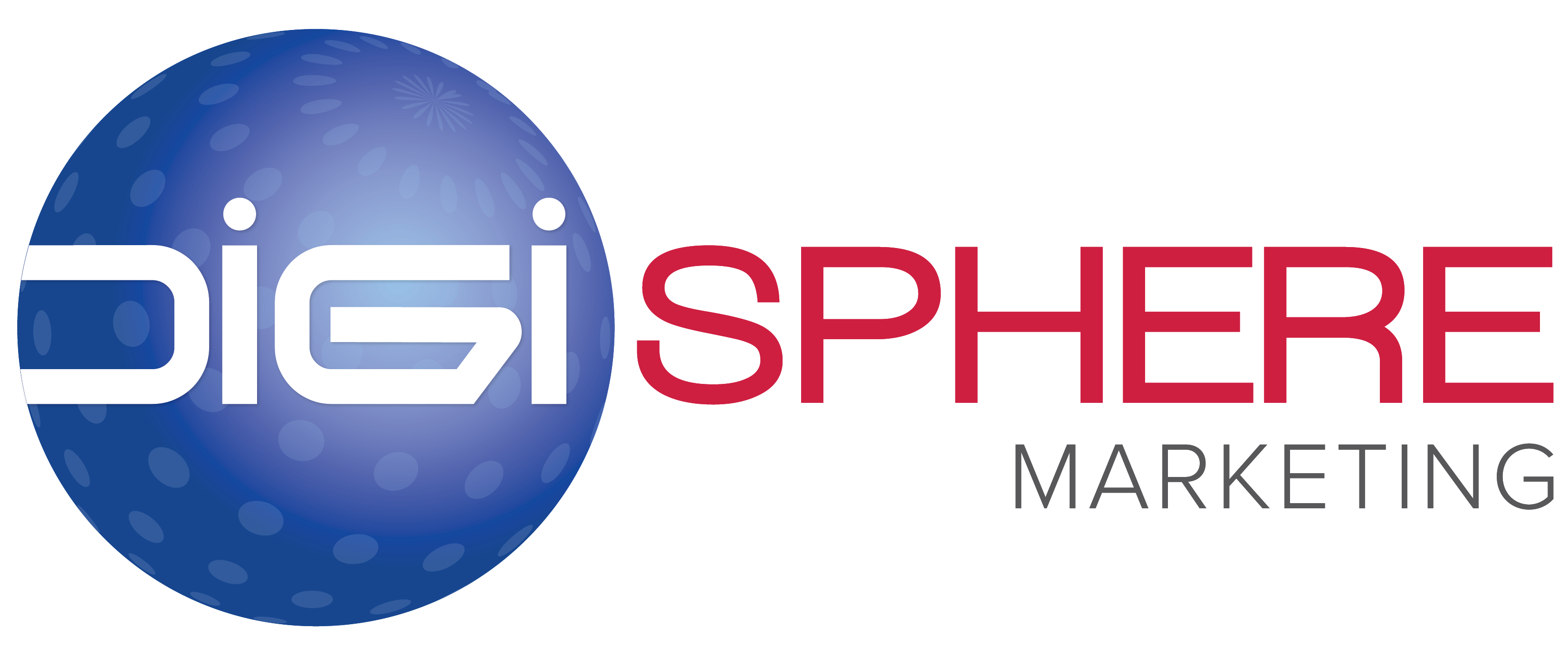 digispheremarketing.com