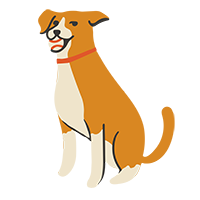 Bean Dog Films