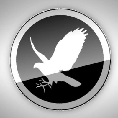 Falcontail Web Design | Houston Texas USA