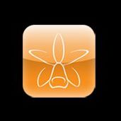 Cattleya Srl
