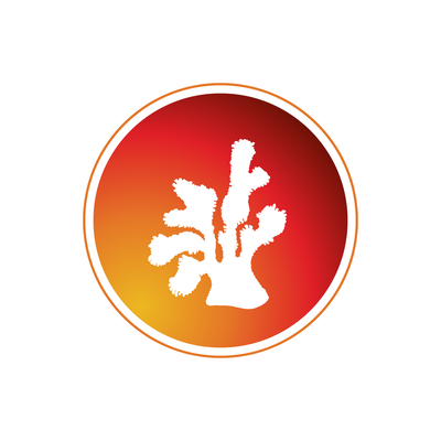 Anntoine Marketing and Design