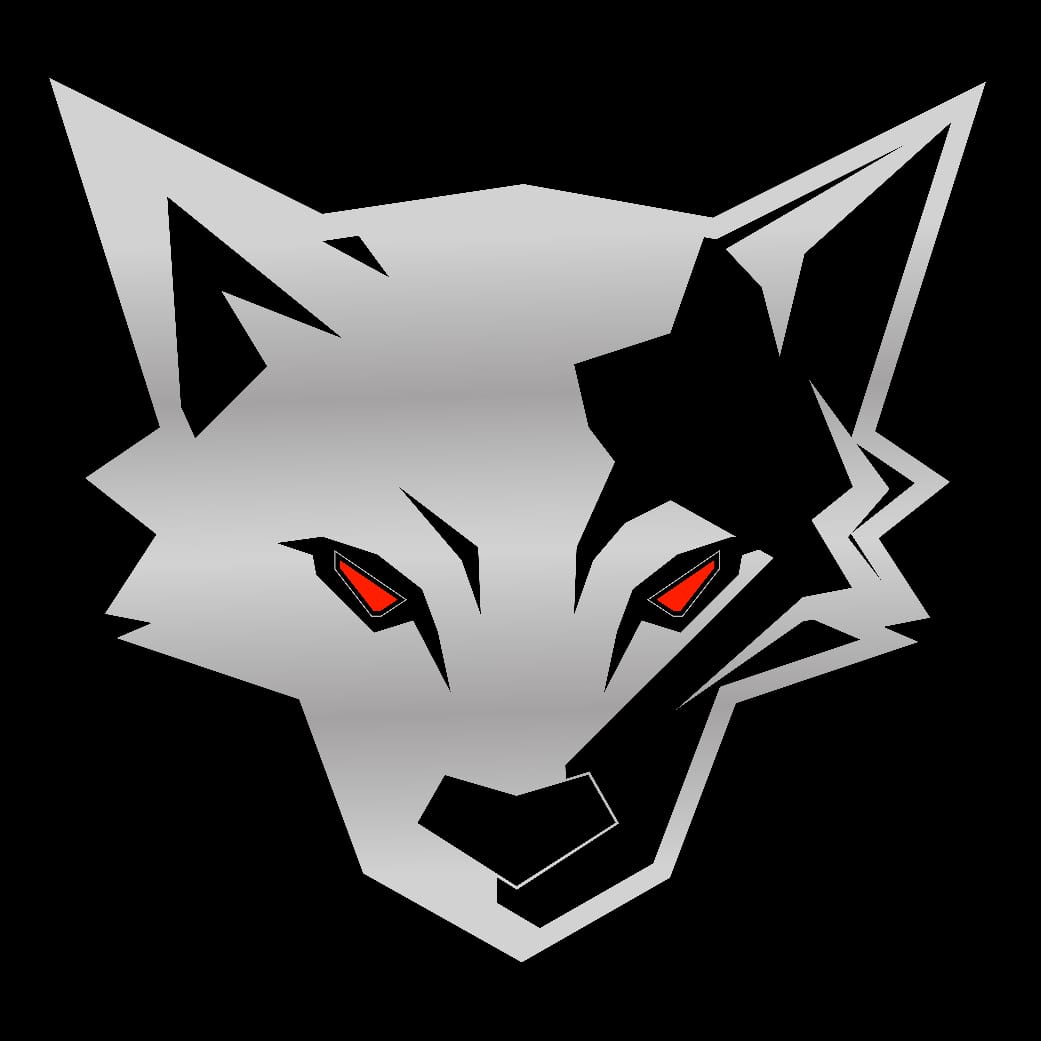 SilverFox | Digital Marketing Agency