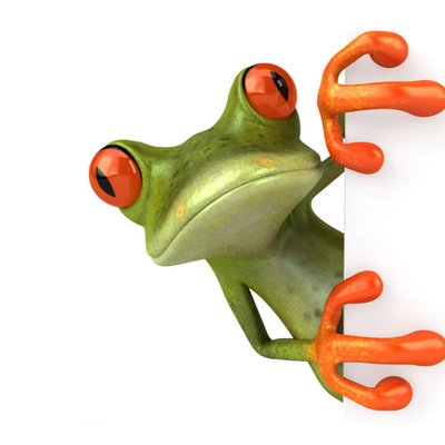 Green Frog Entertainment