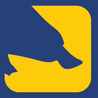 Platypus - Media, Advertising, and Design