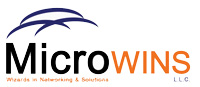 Microwins LLC