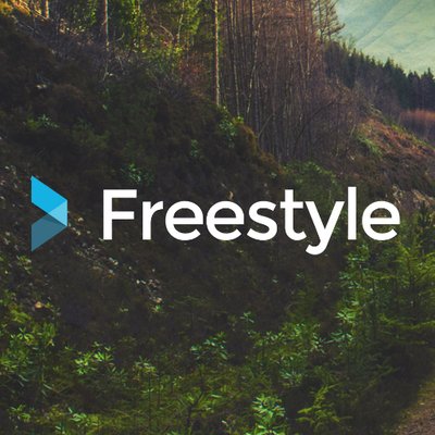 Freestyle Web Design