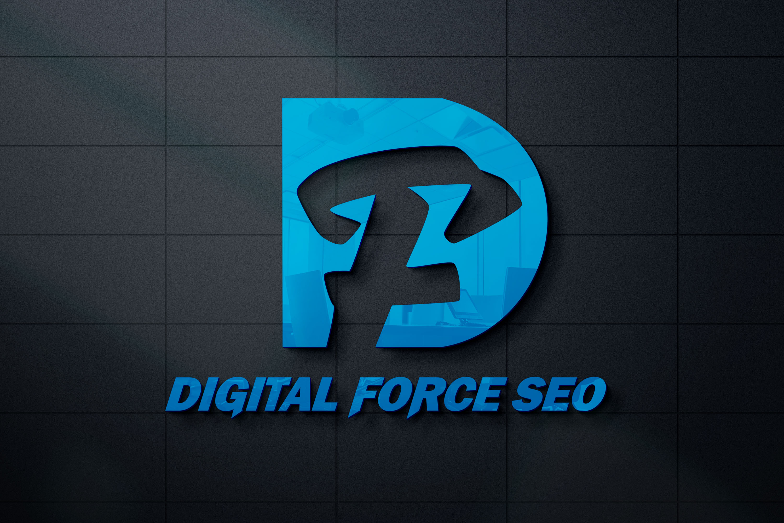 Digital Force SEO LLC