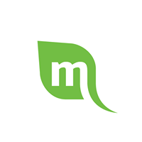 Mint Media