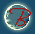 Brians Web Design