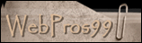 webpros99.com