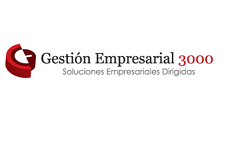 Gestion empresarial 3000