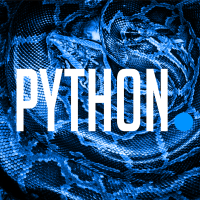 Python Digital Agency