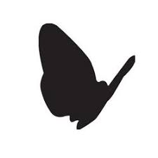 Black Butterfly Productions