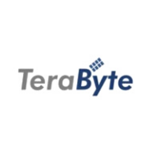 TeraByte - Web Designing  Company in Dubai