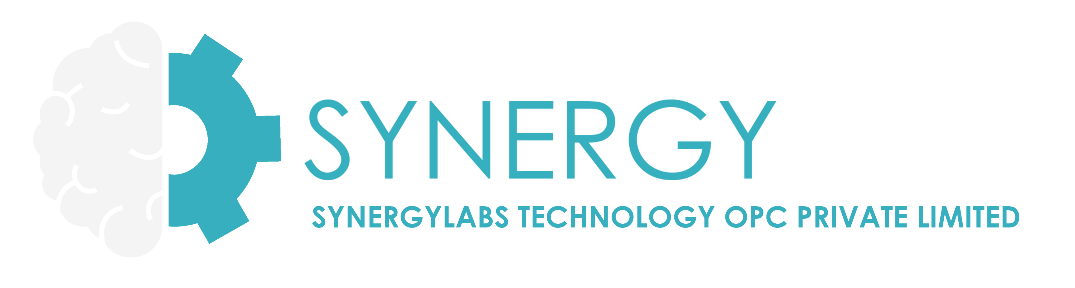 SynergyLabs