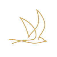 Webseiten-Agentur-Schipke