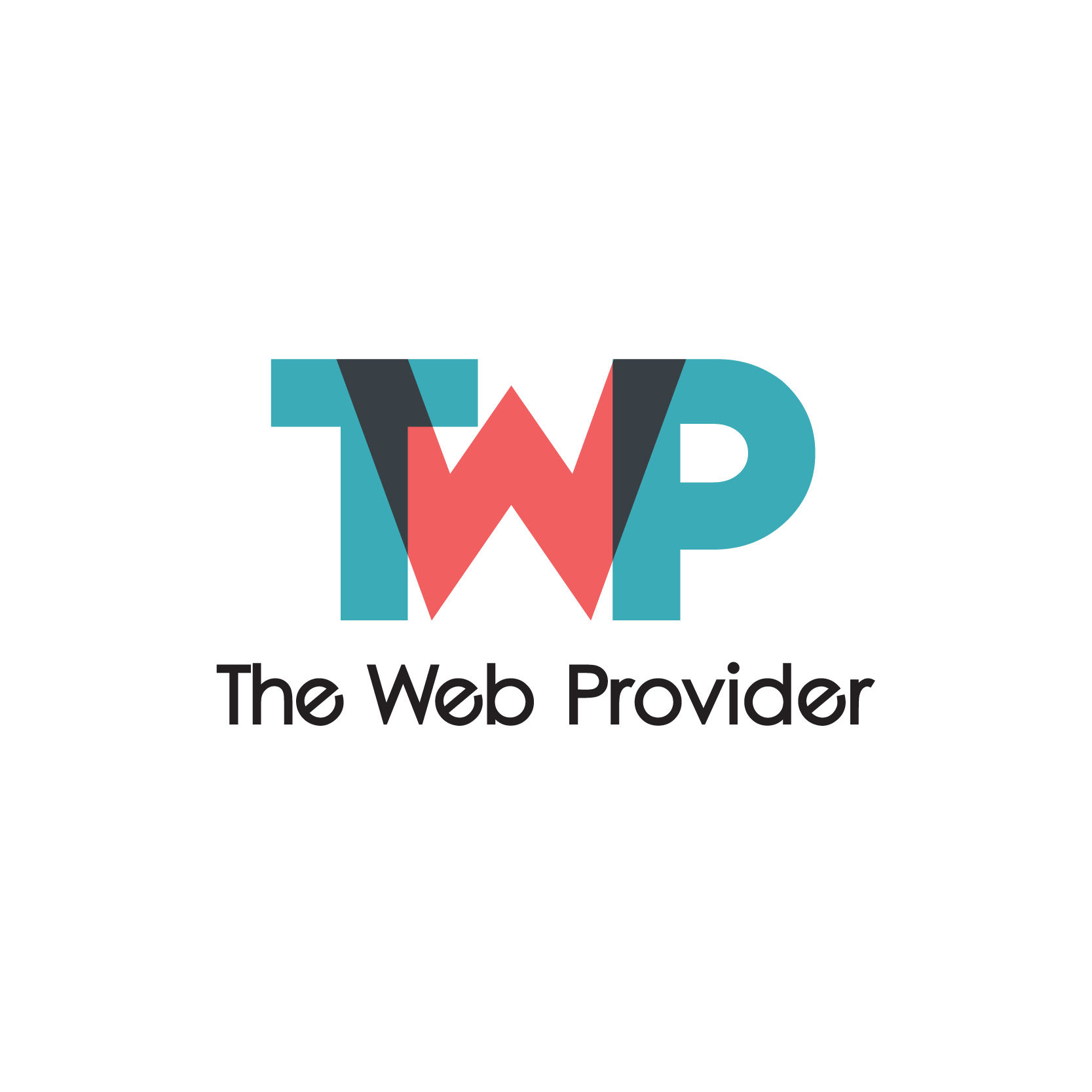 The Web Provider