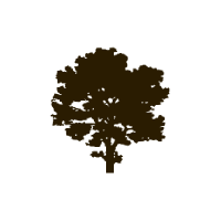 mapletonhill.net