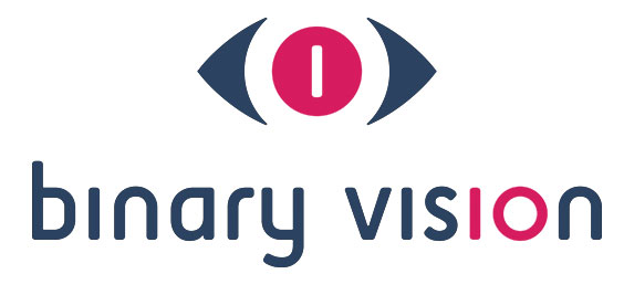 Binary Vision