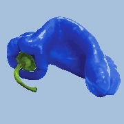 PEPPER BLUE, LLC