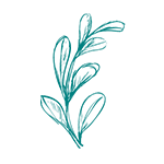 Thrive Social Solution