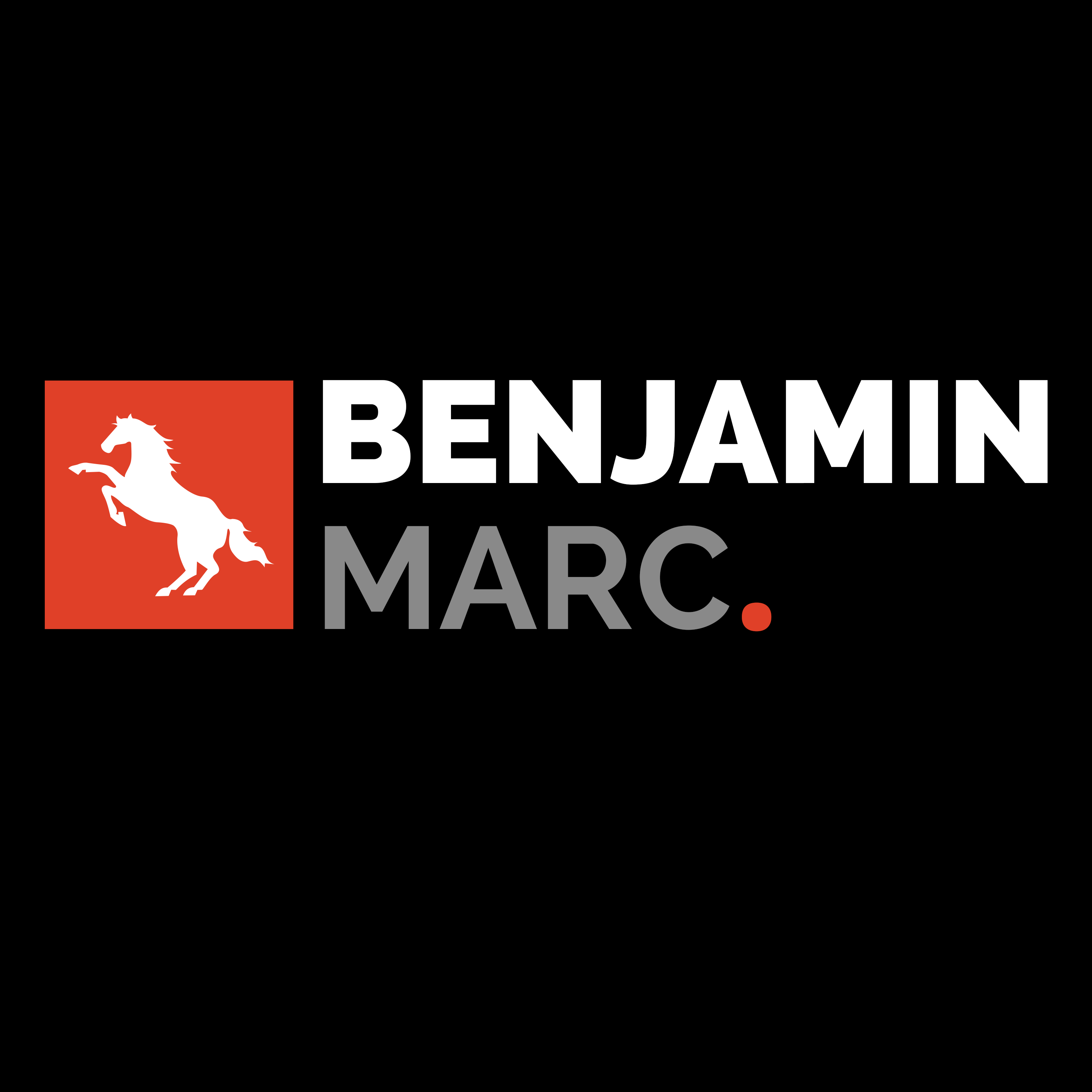 Benjamin Marc Inc