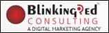 BLINKINGRED CONSULTING